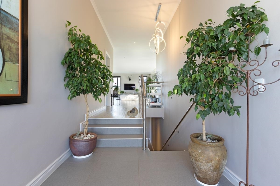 To Let 4 Bedroom Property for Rent in Chapman